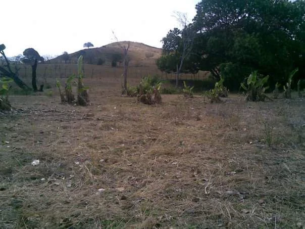 LAND FOR SALE IN LAS TABLAS – POCRÍ / PARITILLA, 15.5 HECTARES - photo 17