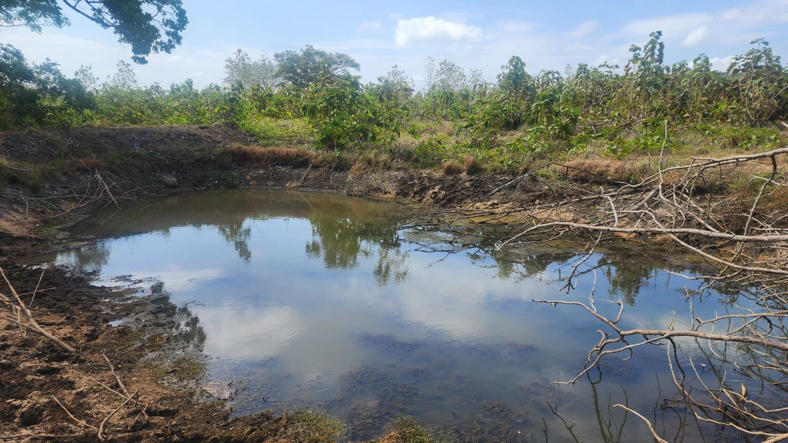 LAND FOR SALE IN LAS TABLAS – POCRÍ / PARITILLA, 15.5 HECTARES - photo 11