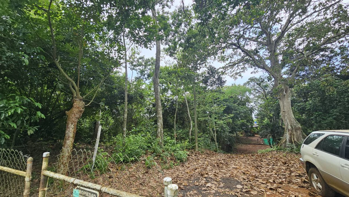 Your ideal land in Las Mendozas! Nature and tranquilility in La Chorrera. - photo 2