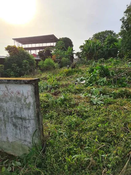 LAND FOR SALE IN LA CHORRERA - photo 4