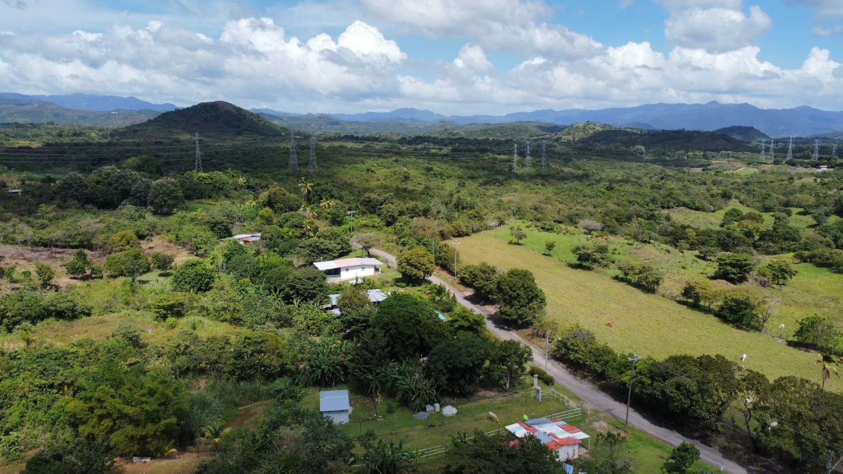 Land for sale in San Carlos - photo 8
