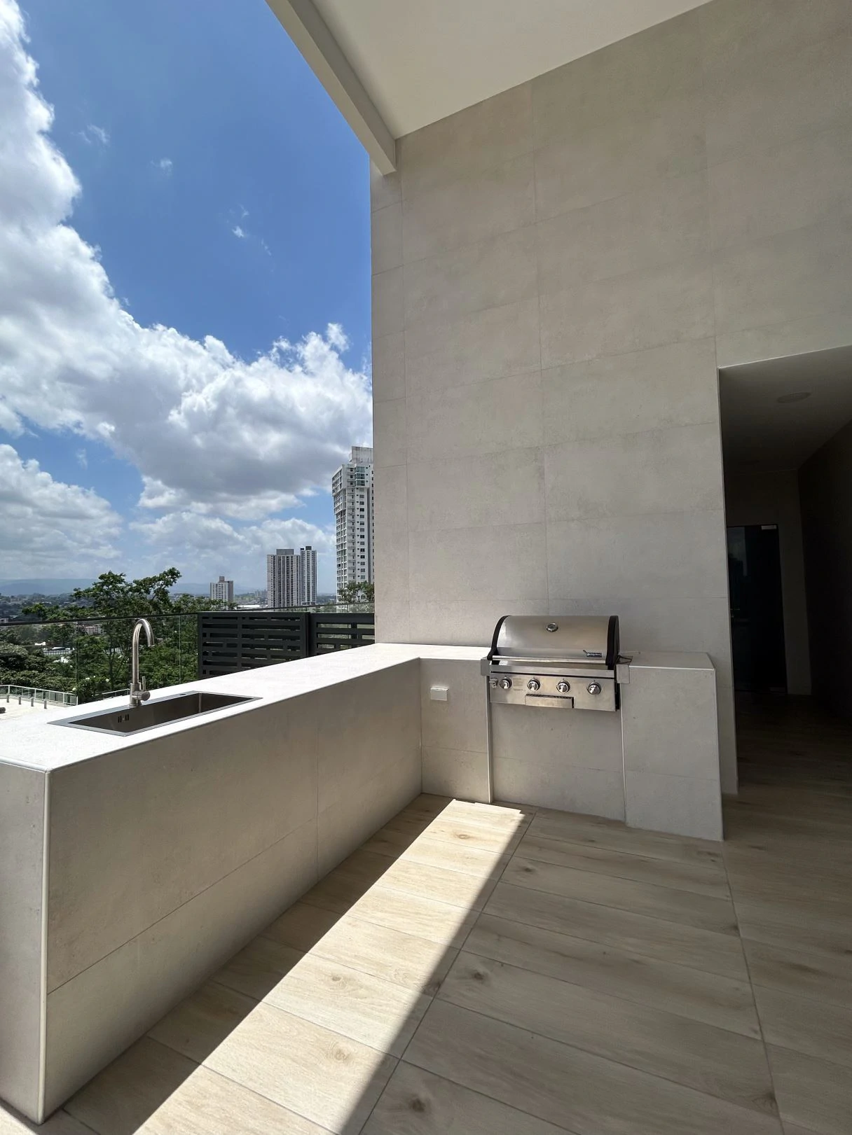 APARTMENT FOR SALE IN PH BALCONY – HATO PINTADO - photo 14
