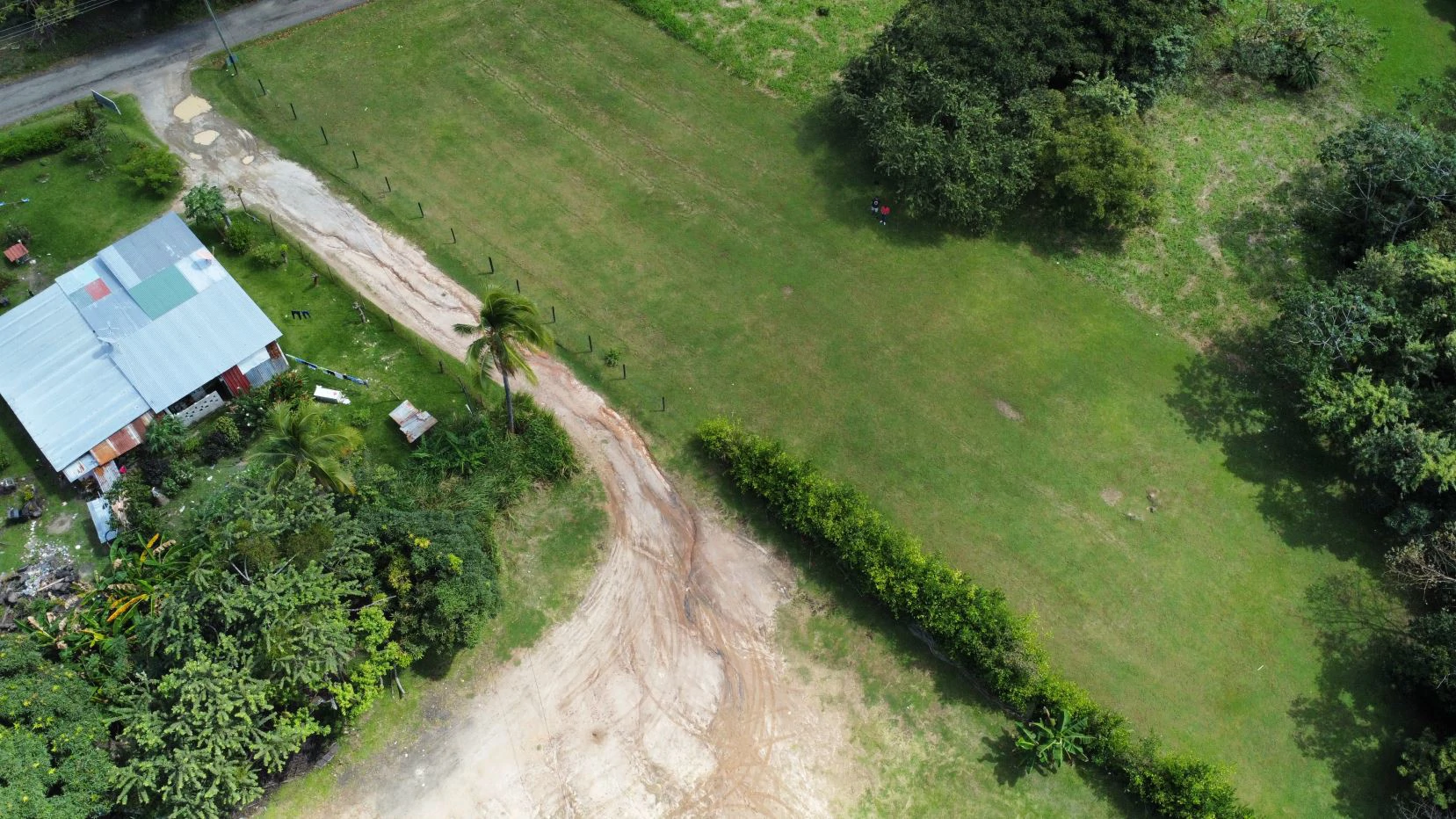 Land for sale in San Carlos - photo 12