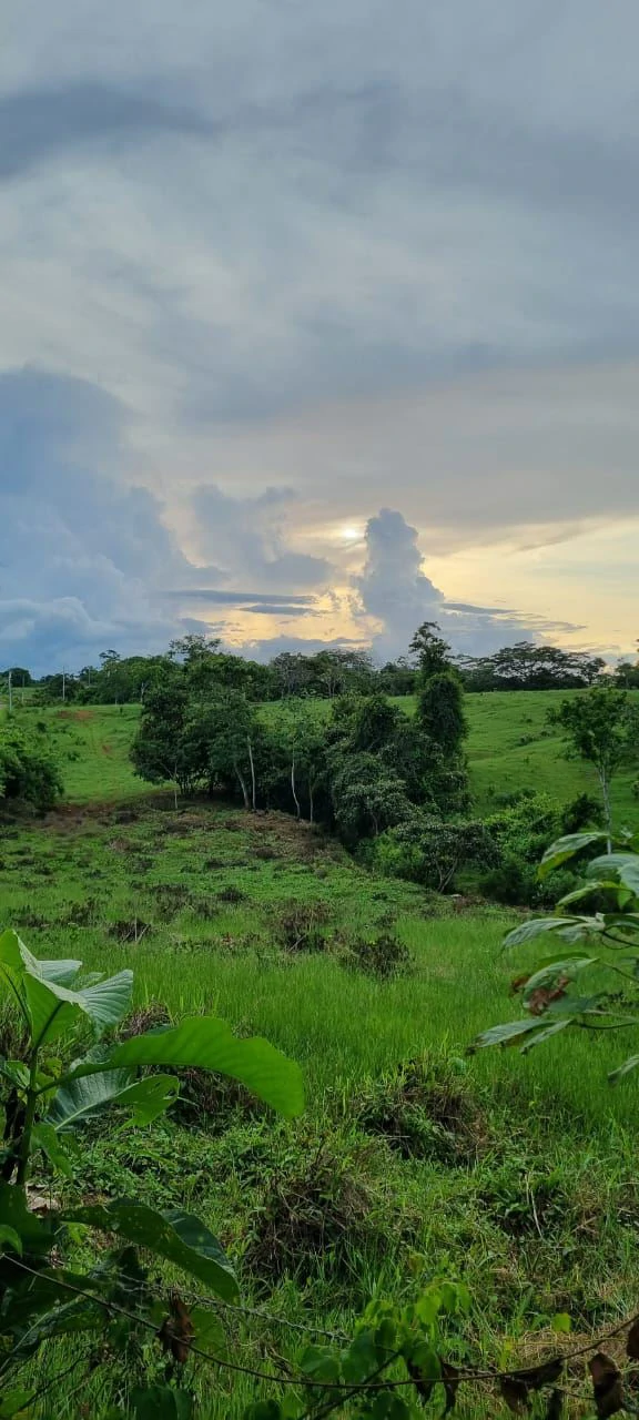 SALE OF LAND IN CHORRERA - LAS YAYAS ADENTRO (7.5 HECTARES) - photo 12