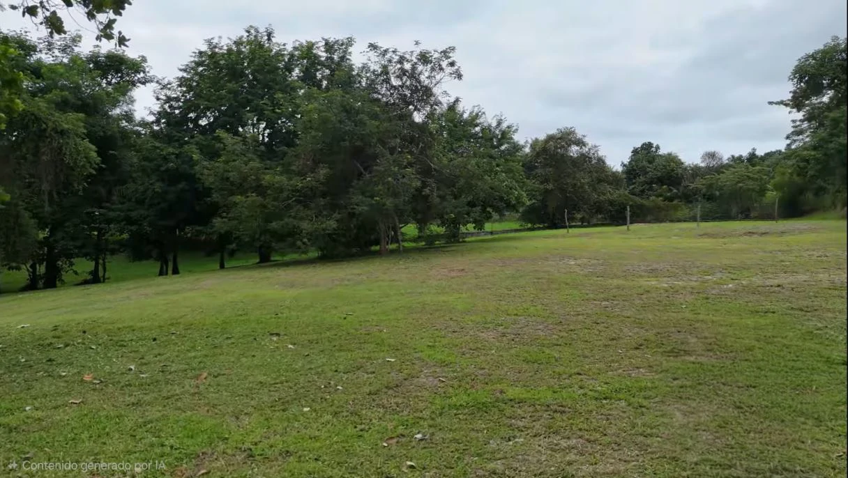 LAND FOR SALE IN SAN CARLOS LAS UVAS - photo 7