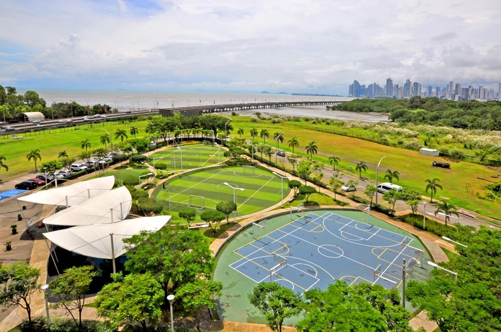 Amazing space with stunning views ! - photo 22