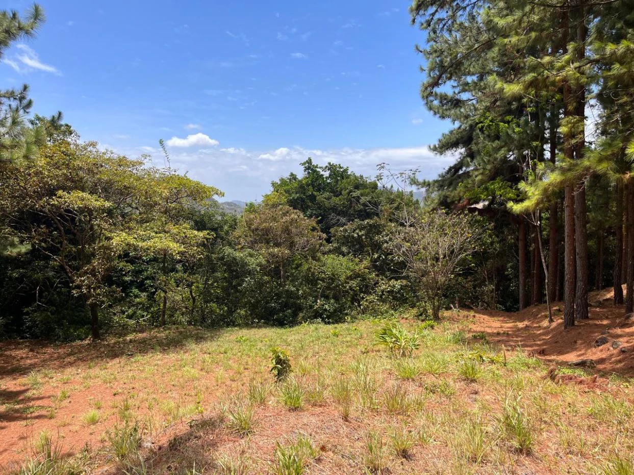 Land for Sale – Valle de la Toscana, Altos del María - photo 3