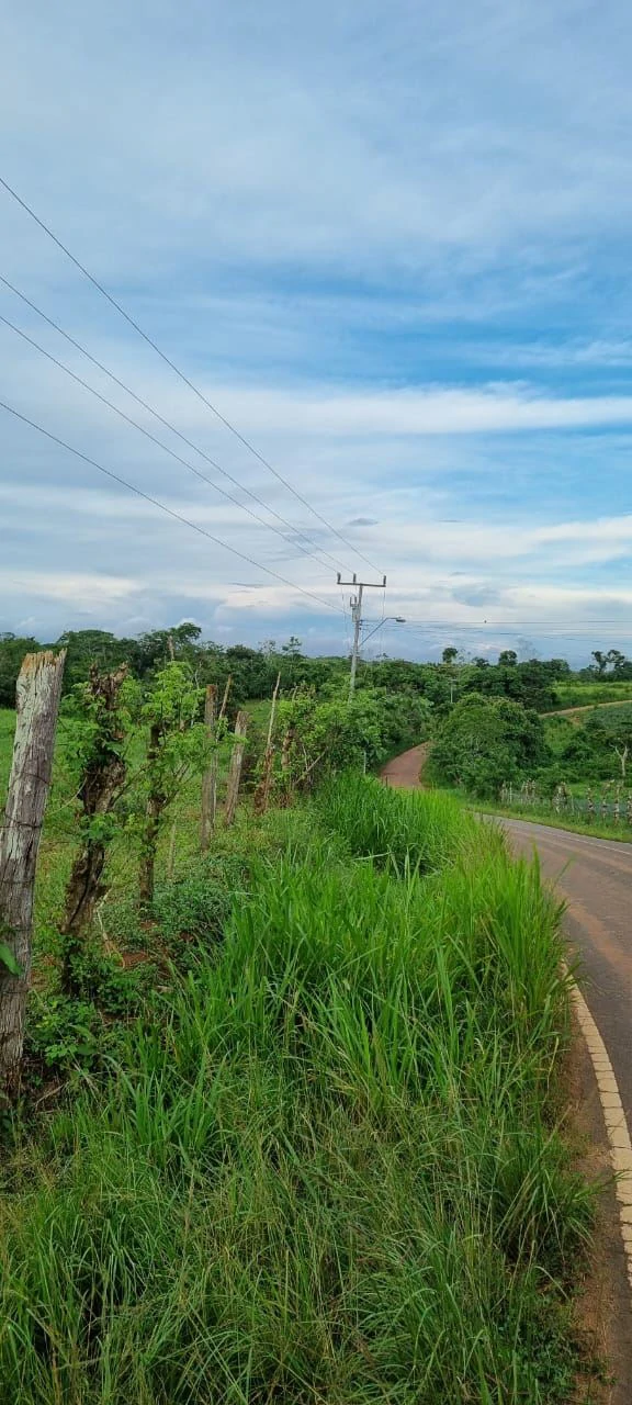 SALE OF LAND IN CHORRERA - LAS YAYAS ADENTRO (7.5 HECTARES) - photo 11