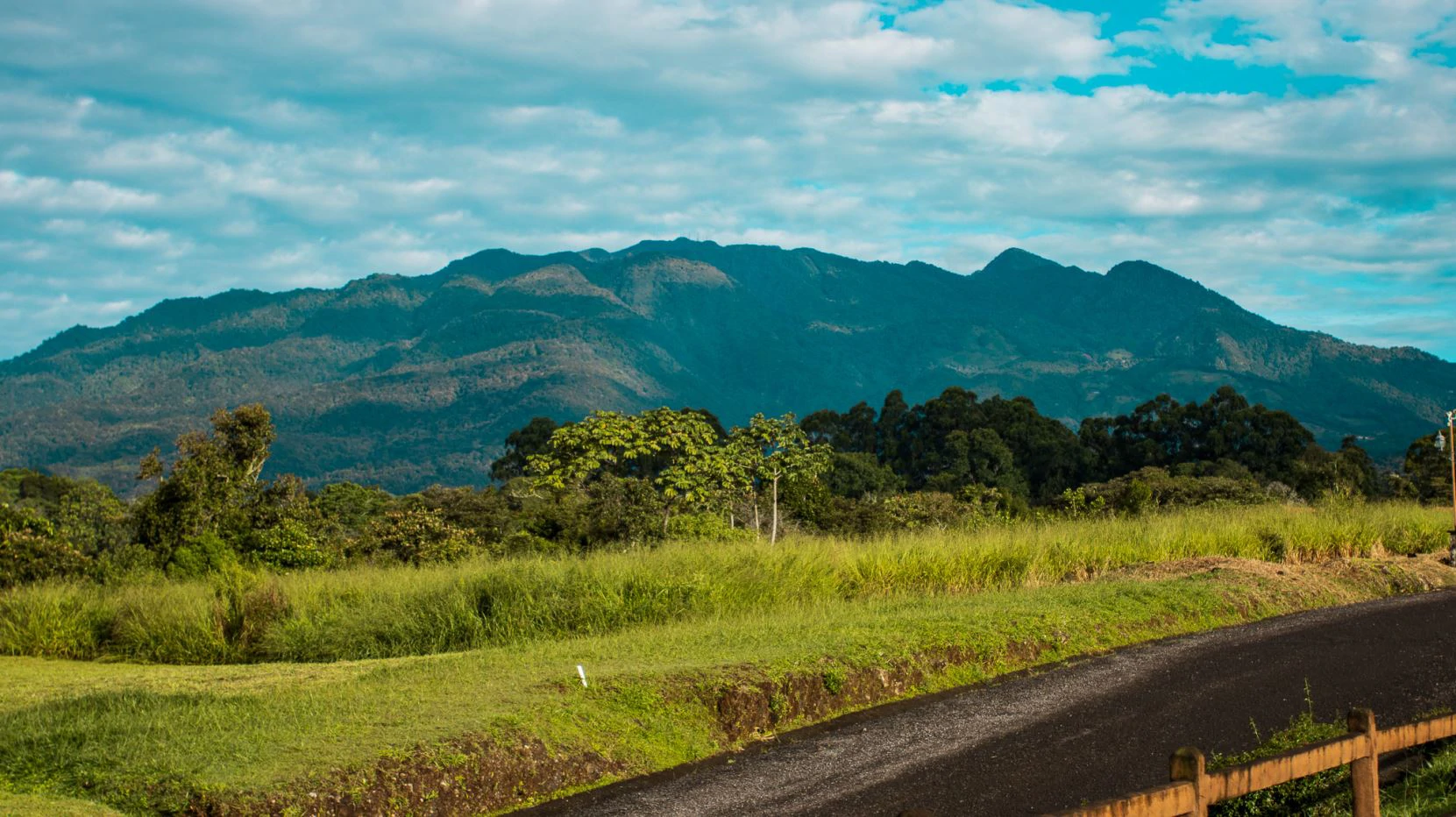 Invest in Boquete, land of flowers and coffee. - photo 15