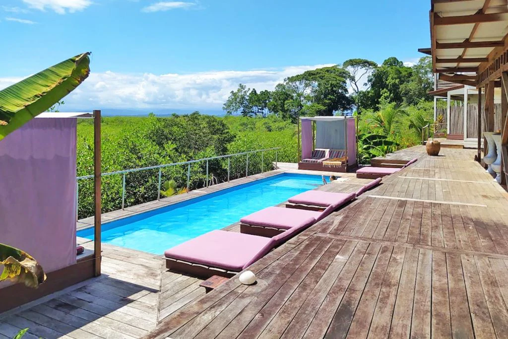 Hotel in Bocas - French Touch, Sabores Locales - photo 18