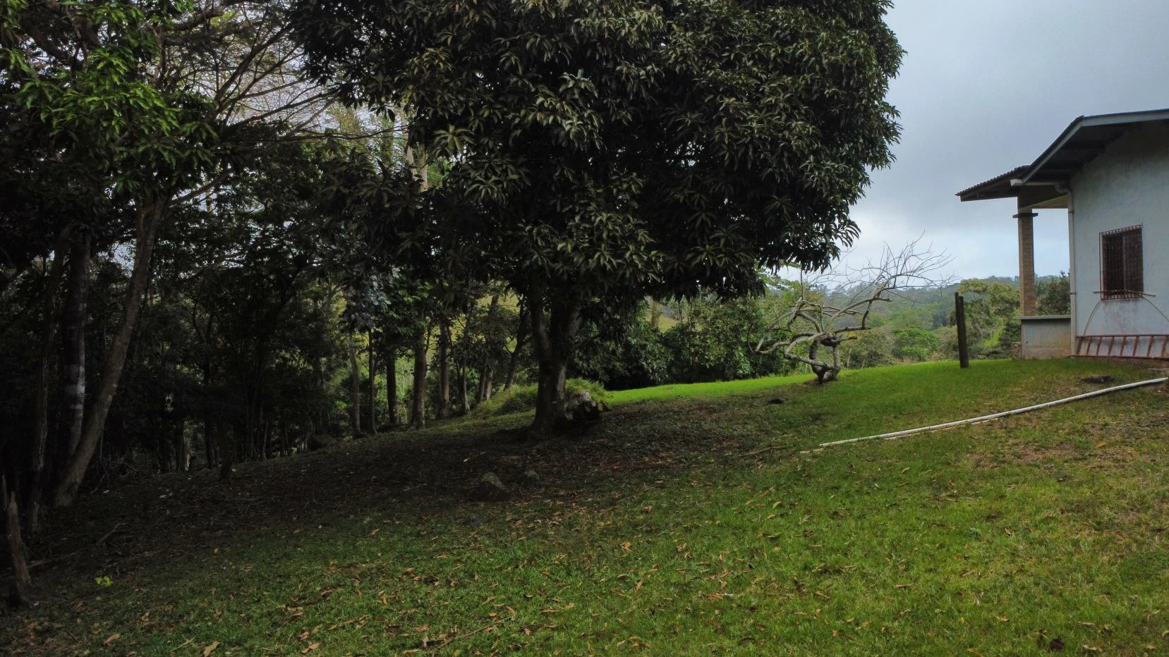Land for Sale with Country Home in Chorrera – Near Panama City - photo 14