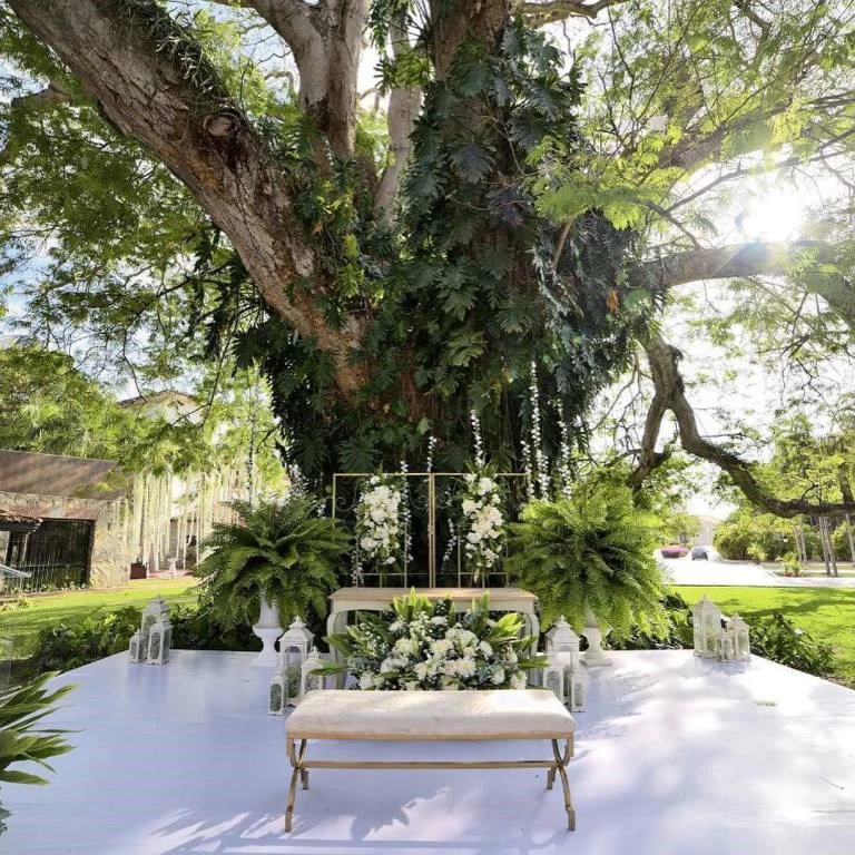 NATURE & LUXURY at its BEST - photo 13