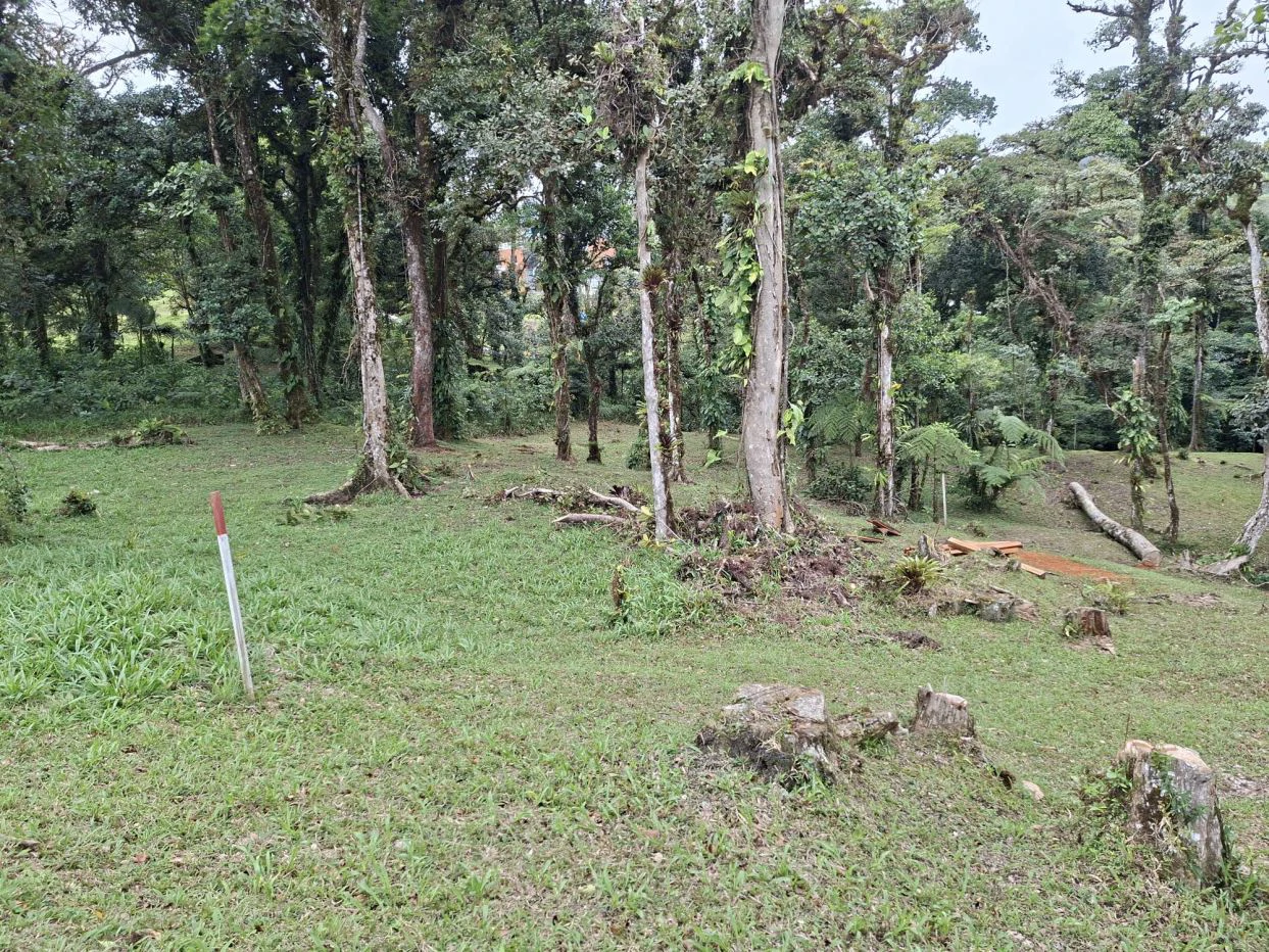 FOR SALE – Mountain Land in Altos de María, Chame District, Panamá - photo 6
