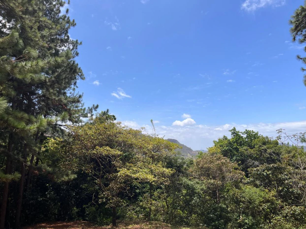 Land for Sale – Valle de la Toscana, Altos del María - photo 7