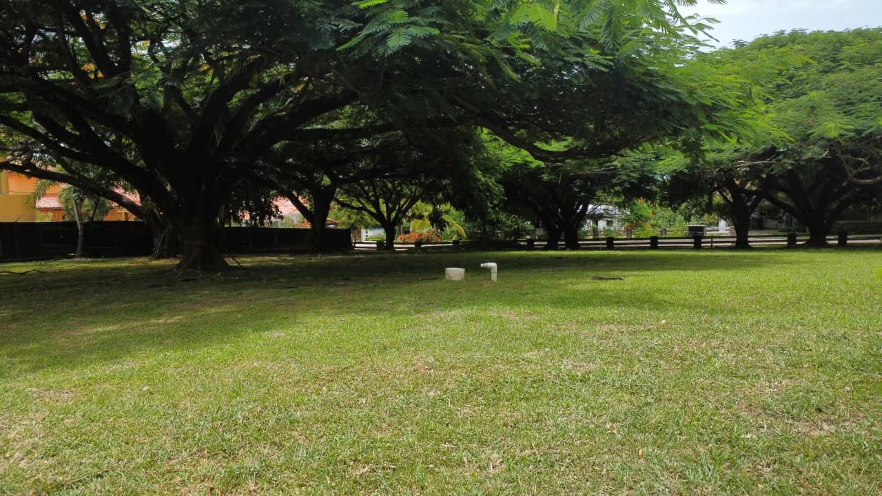 Land for Sale in PH Punta Barco Village – San Carlos, Panama West - photo 5