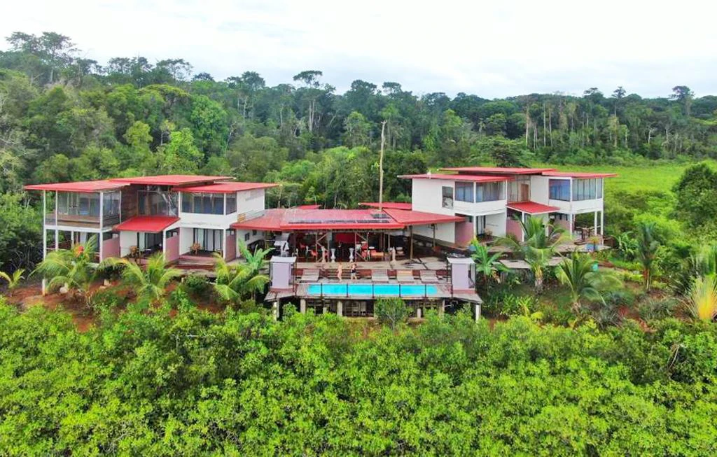 Hotel in Bocas - French Touch, Sabores Locales - photo 29
