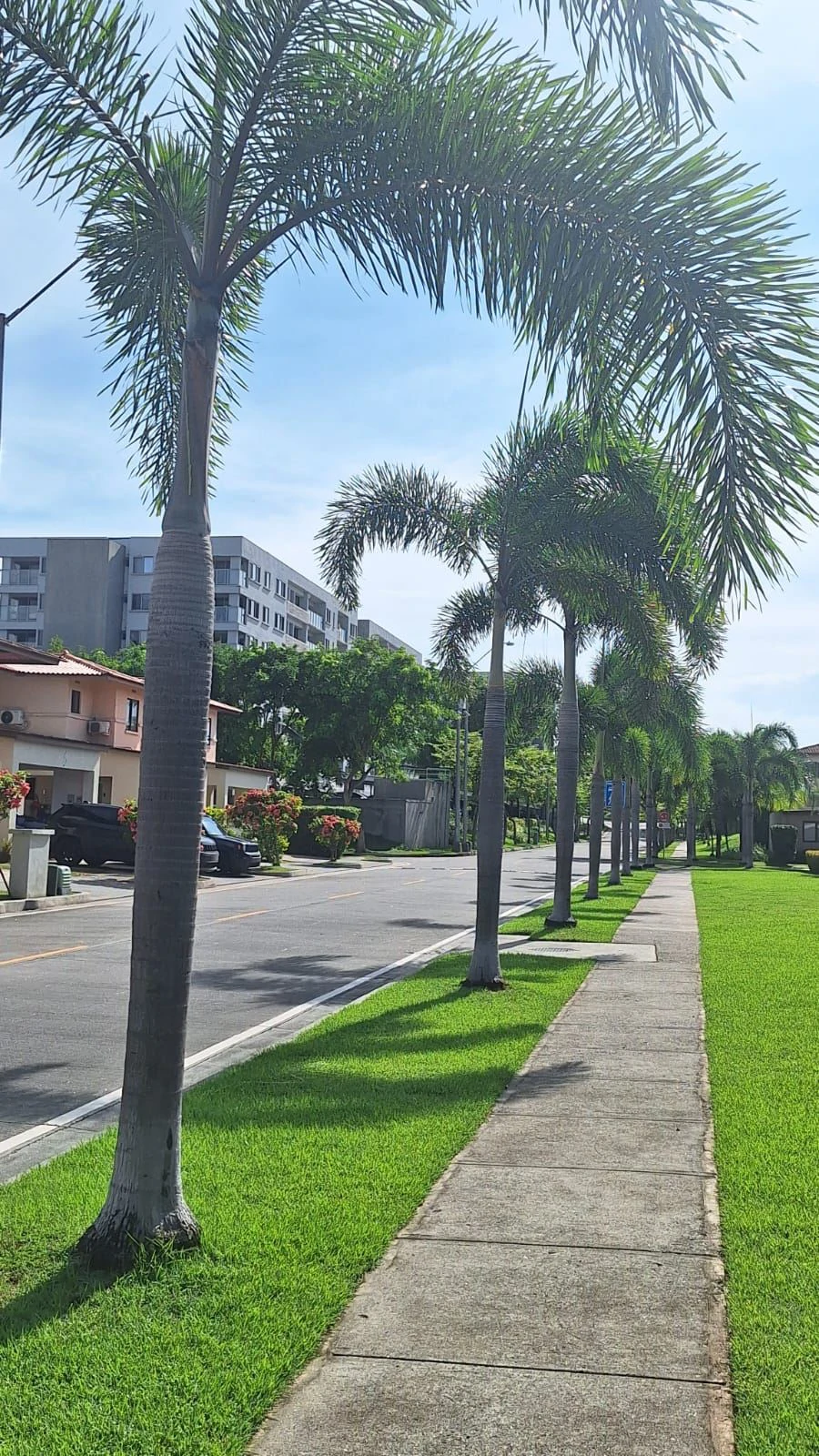 Townhome for Sale | Woodlands Phase 1, Panama Pacifico – Corner Unit with Green Space & Low HOA - photo 4