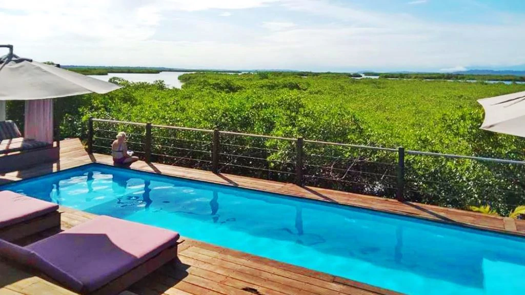 Hotel in Bocas - French Touch, Sabores Locales - photo 15