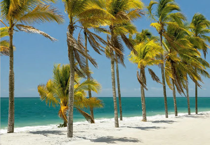 ALAMAR - BUENAVENTURA - photo 26
