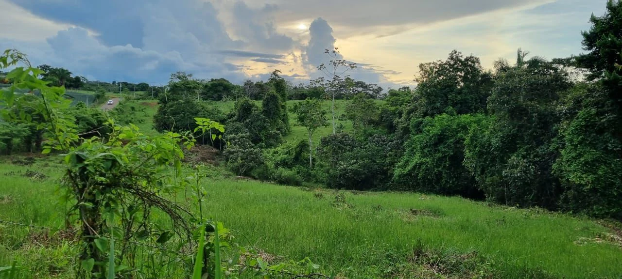 SALE OF LAND IN CHORRERA - LAS YAYAS ADENTRO (7.5 HECTARES) - photo 7