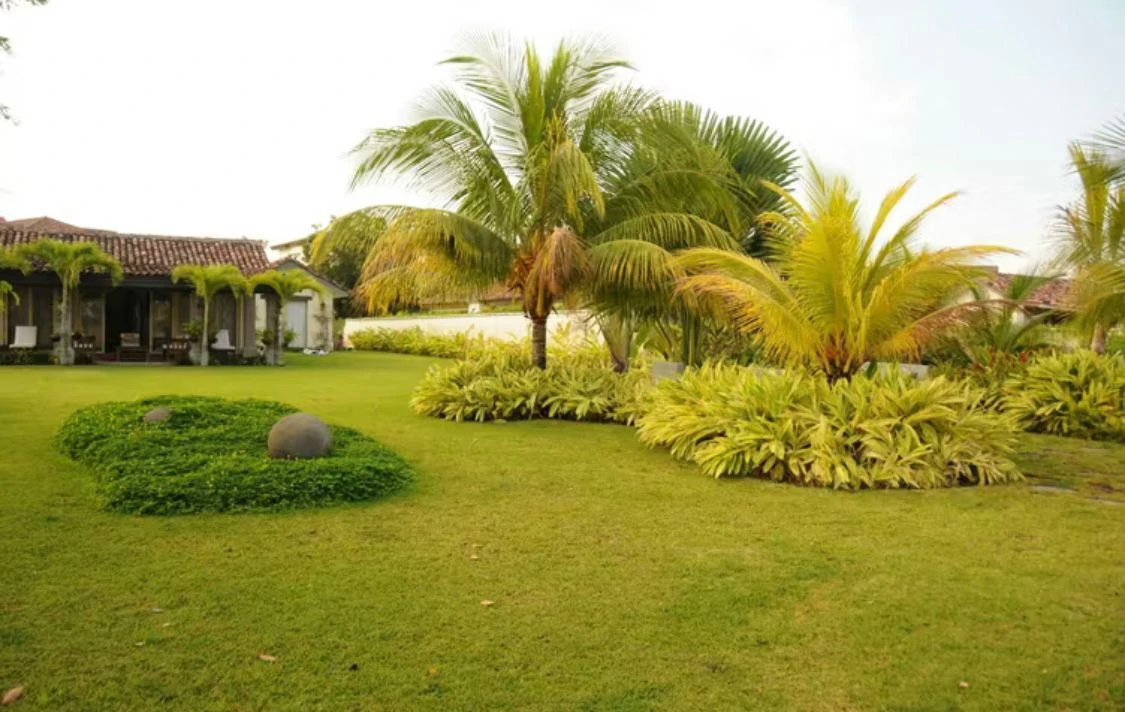 SALE / PLAYA BLANCA, RIO HATO, BUENAVENTURA - PH LOS PORTALES - photo 15