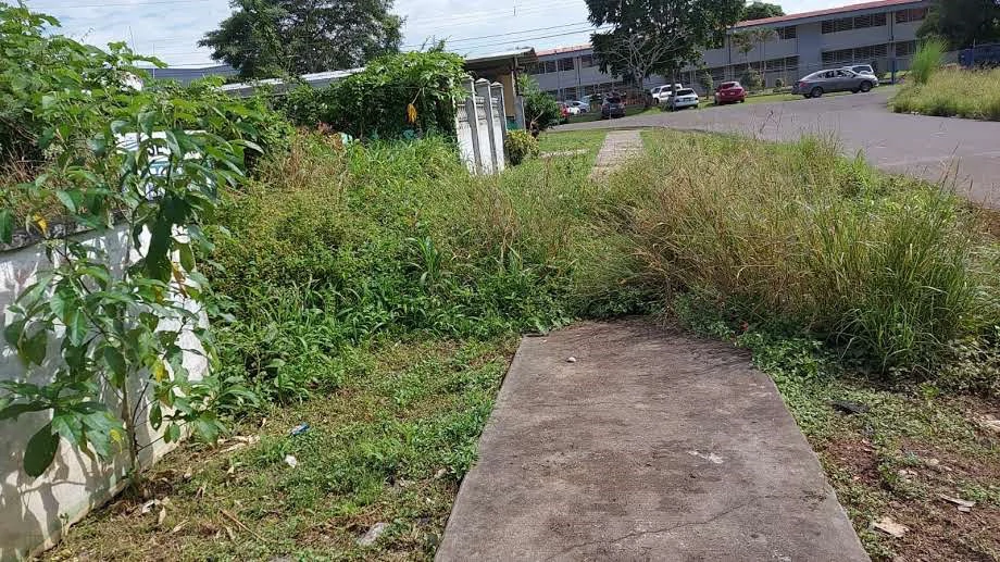 LAND FOR SALE IN LA CHORRERA - photo 7