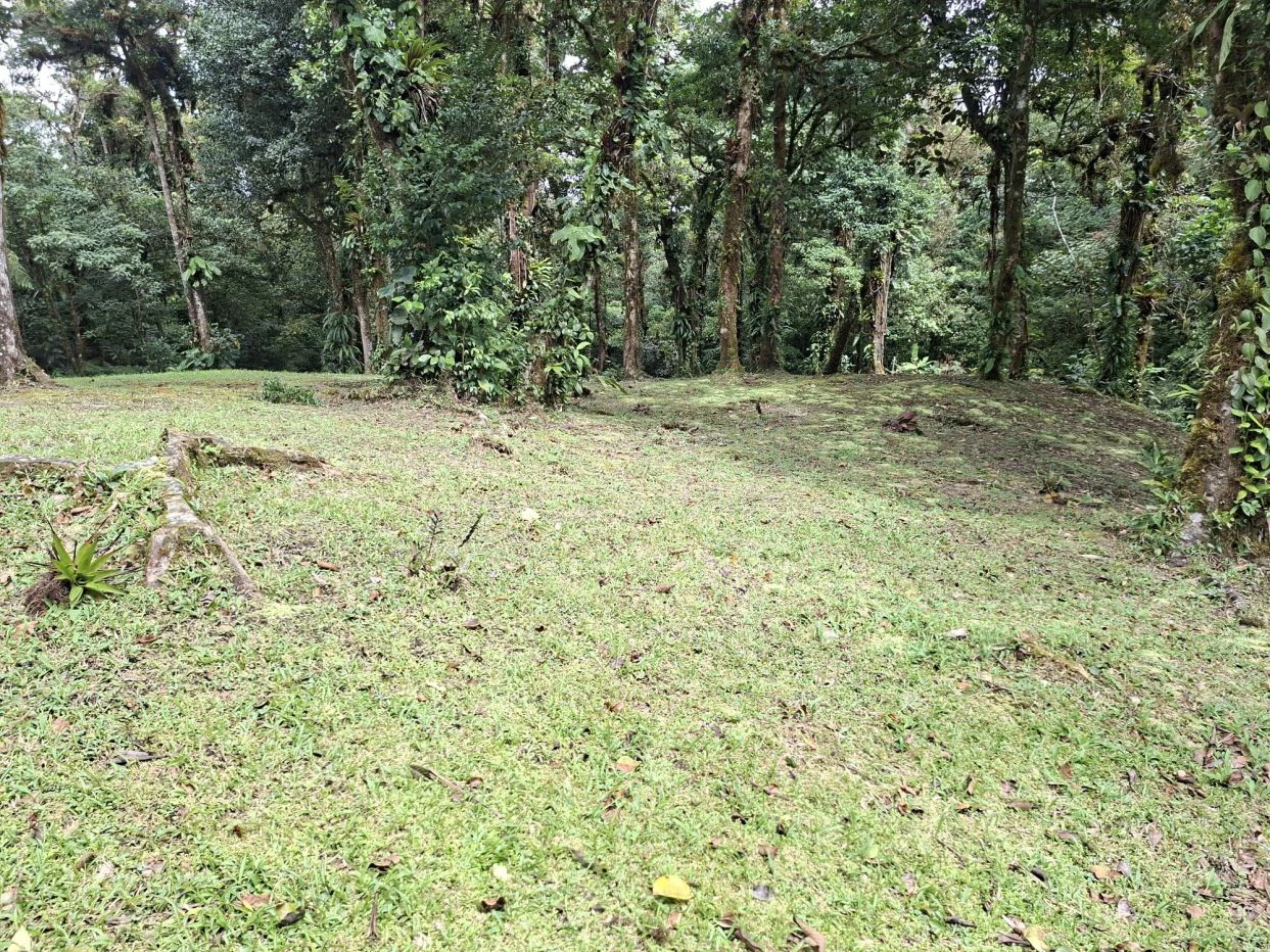 FOR SALE – Mountain Land in Altos de María, Chame District, Panamá - photo 2