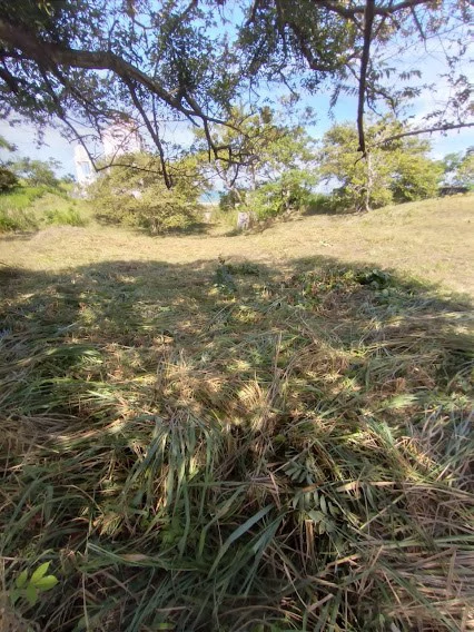 LOT / LAND SAN CARLOS - photo 5
