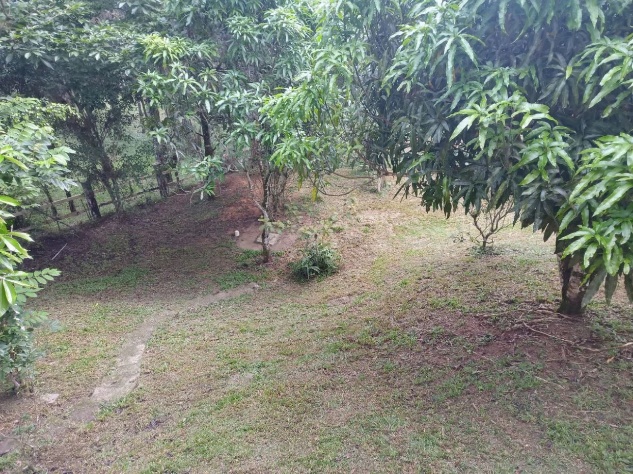 Mountain Home for Sale in Altos de Cerro Azul - photo 11