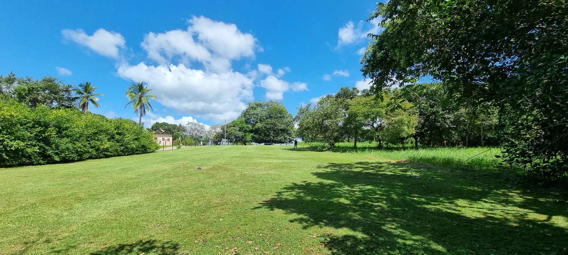 Land for sale in San Carlos - photo 3