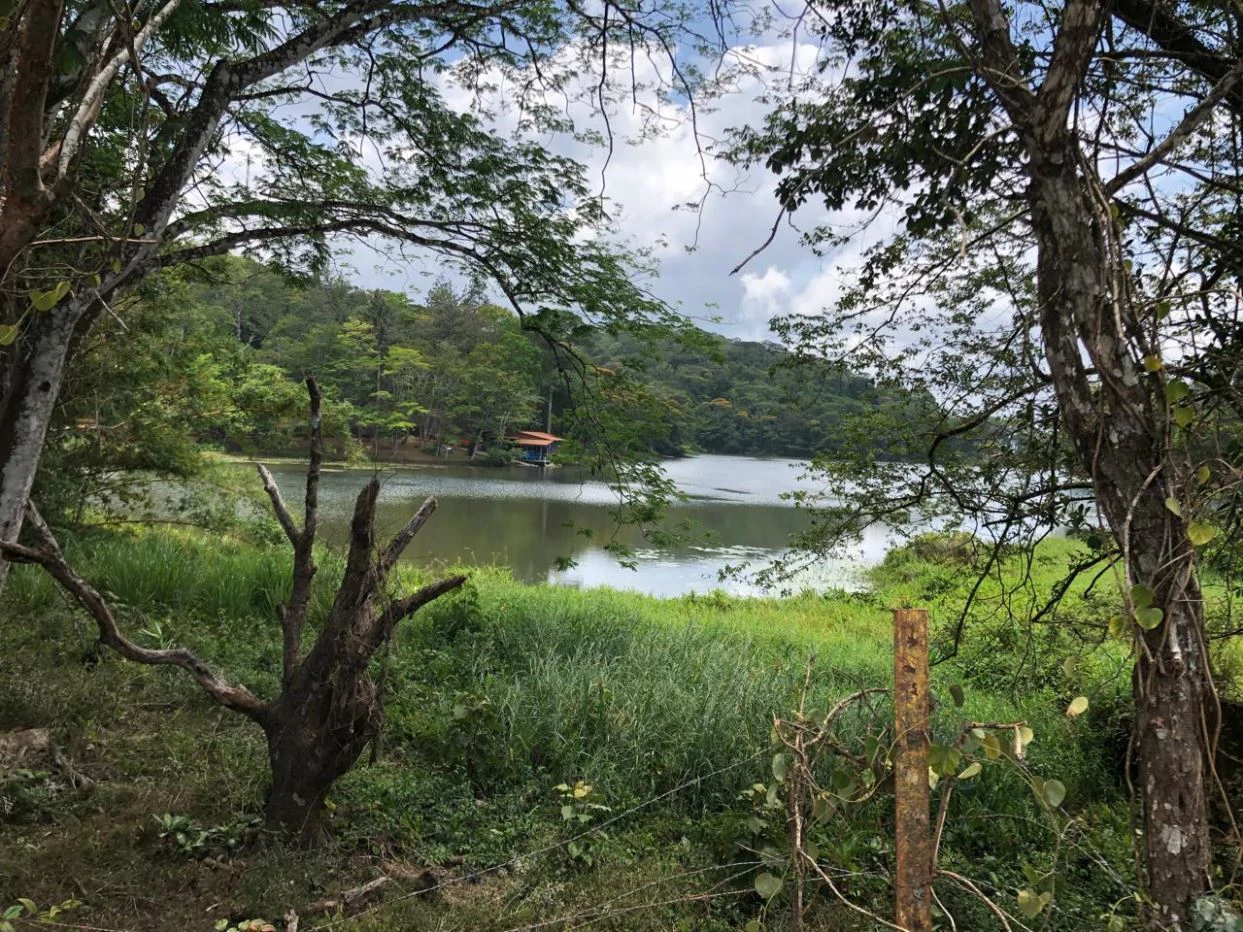 Land for Sale – 23 Hectares Private Paradise in Cerro Azul - photo 6
