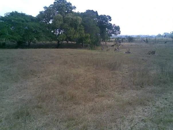 LAND FOR SALE IN LAS TABLAS – POCRÍ / PARITILLA, 15.5 HECTARES - photo 16
