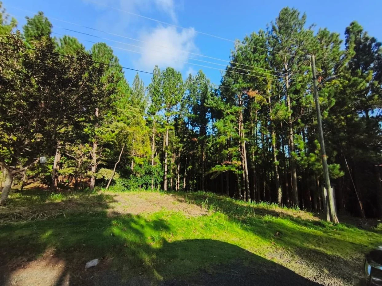 Land for Sale – Valle de la Toscana, Altos del María - photo 2