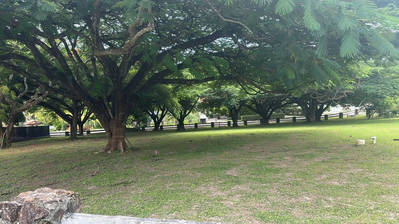 Land for Sale in PH Punta Barco Village – San Carlos, Panama West - photo 7