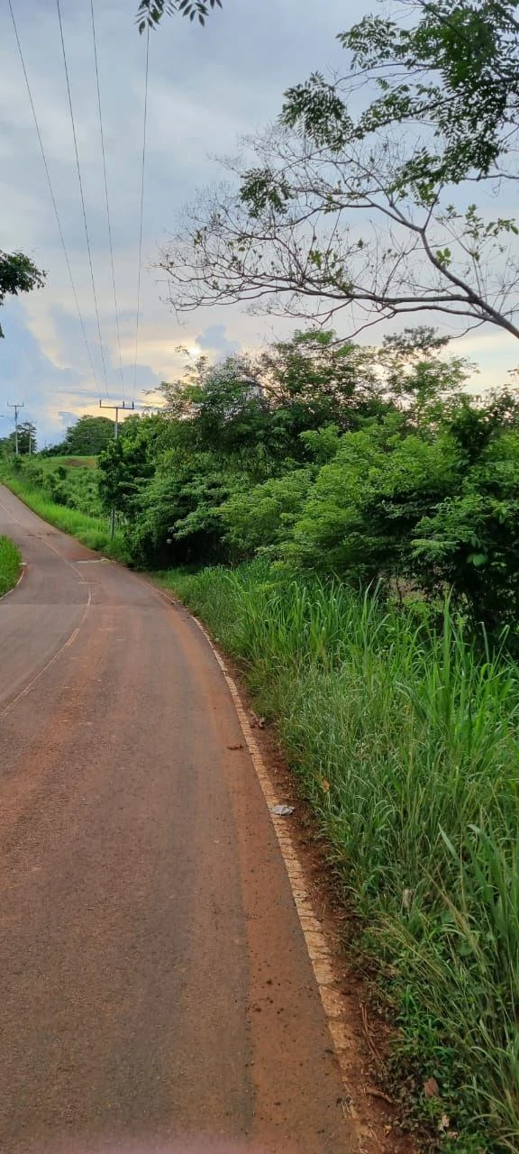 SALE OF LAND IN CHORRERA - LAS YAYAS ADENTRO (7.5 HECTARES) - photo 8