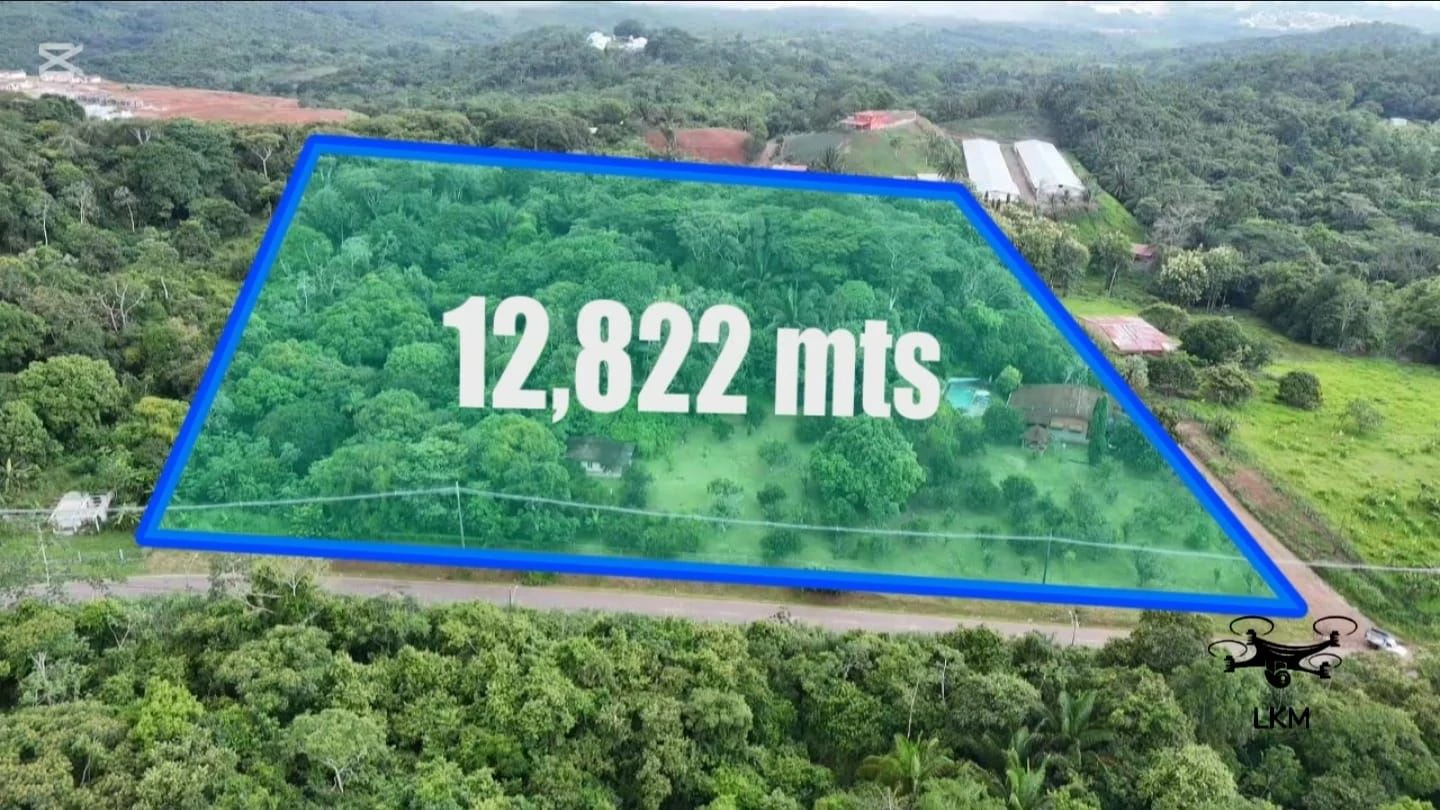 Land for sale in Arraijan Nuevo Emperador - photo 3