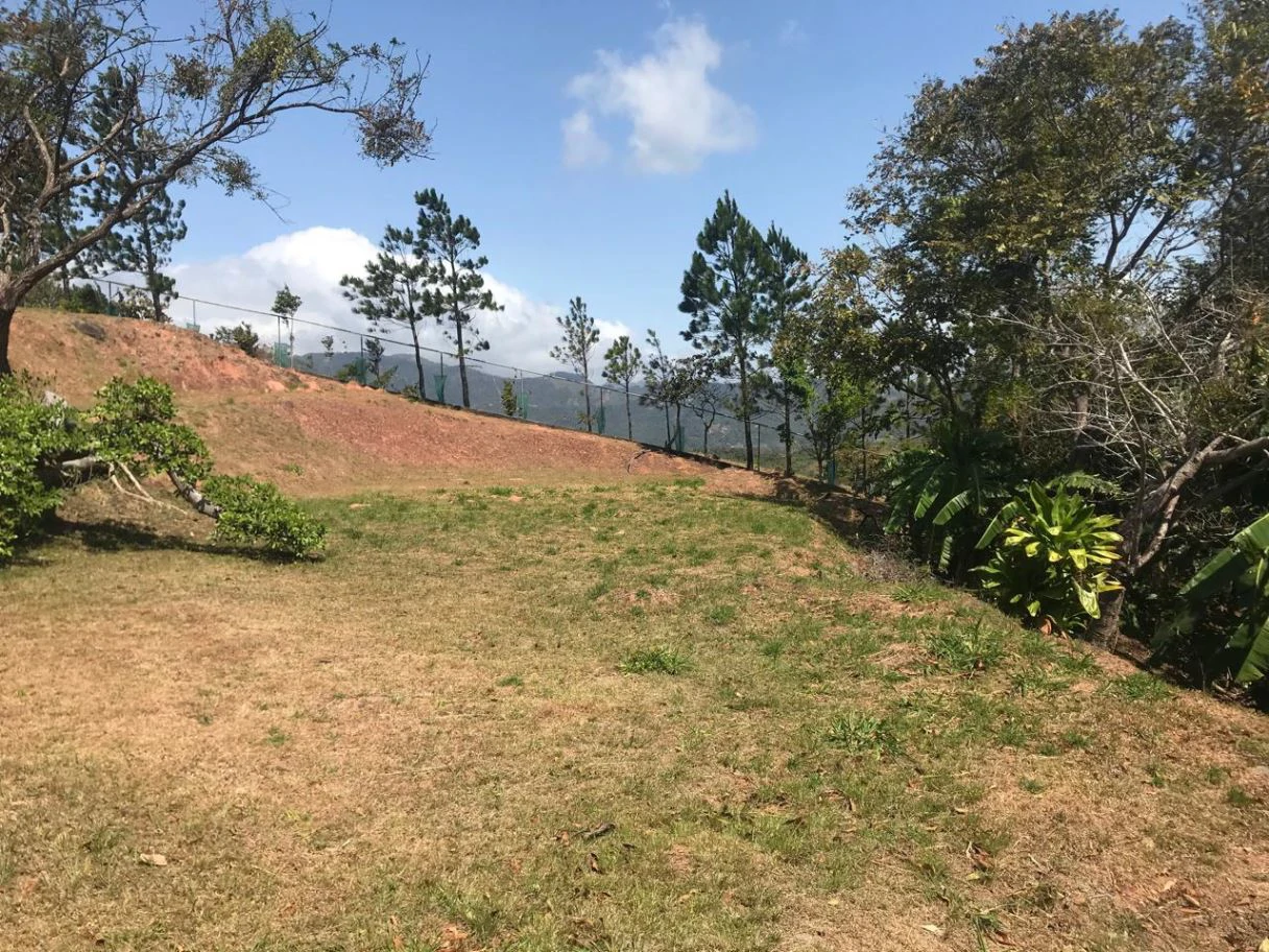 Land for Sale in San Carlos