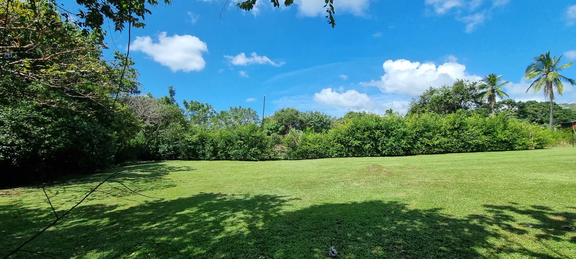 Land for sale in San Carlos - photo 2