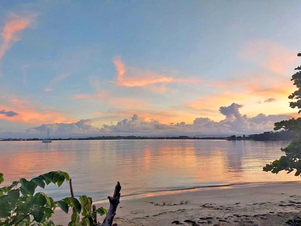 B&B nestled in the jungle of Isla Colon - Bocas del Toro - photo 33