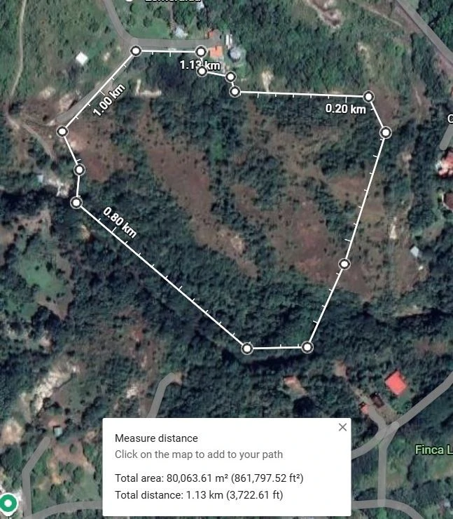 Sale of 8-Hectare Farm in San Carlos with River Frontage - photo 2