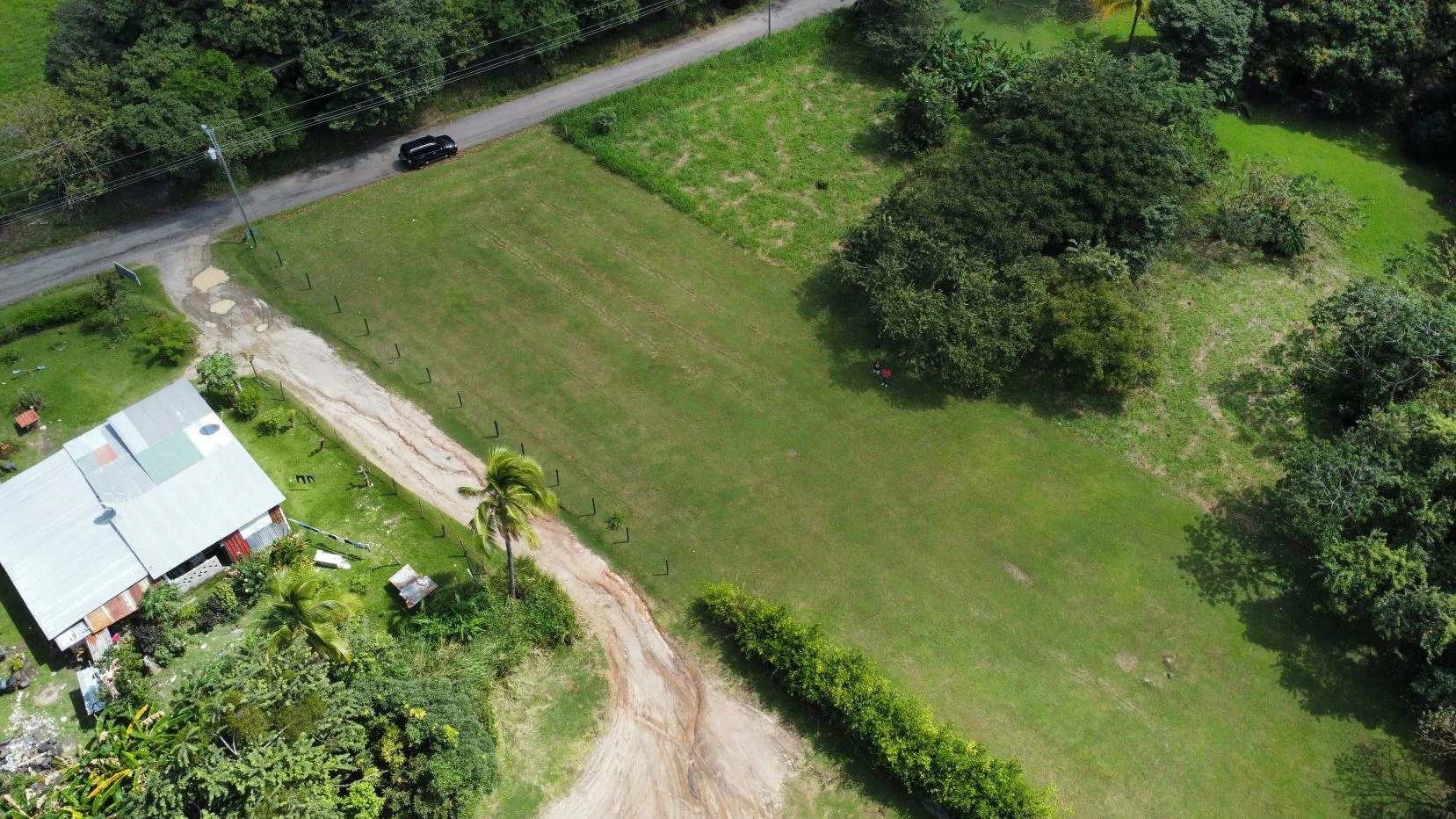 Land for sale in San Carlos - photo 6