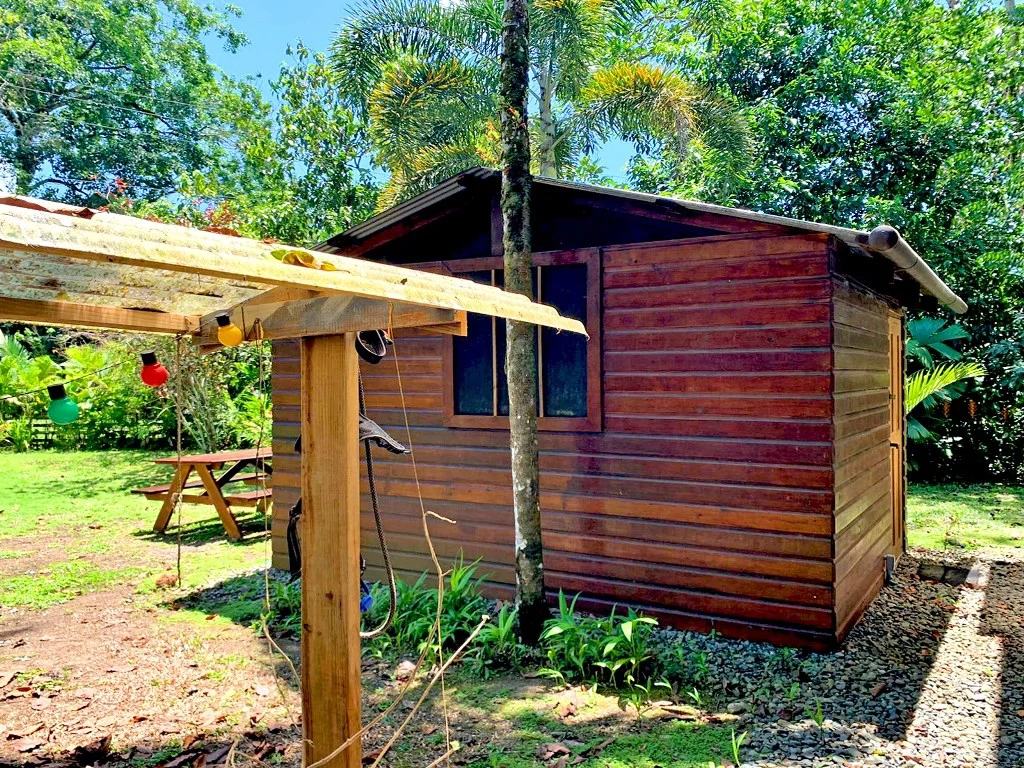 B&B nestled in the jungle of Isla Colon - Bocas del Toro - photo 5