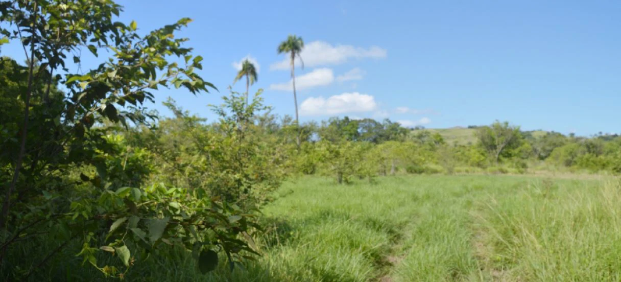 2.66-Hectare Land for Sale in Bejuco, Chame Panama Oeste – Ideal for Residential or Country Development - photo 12