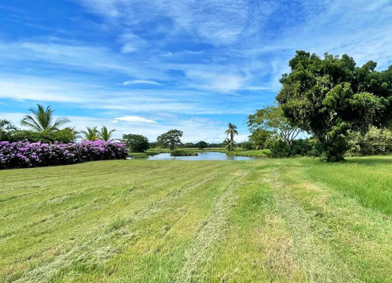Stunning Land in Buenaventura