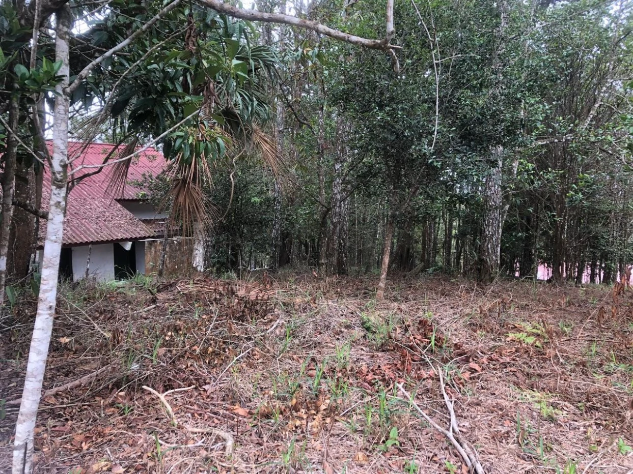 "Great Opportunity! Land in Altos de Cerro Azul" - photo 5