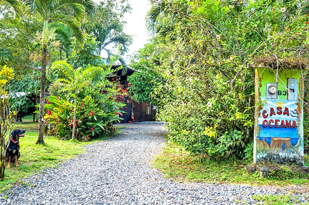 B&B nestled in the jungle of Isla Colon - Bocas del Toro - photo 27