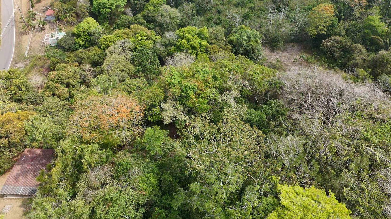 Land for sale in Arraijan Nuevo Emperador - photo 18