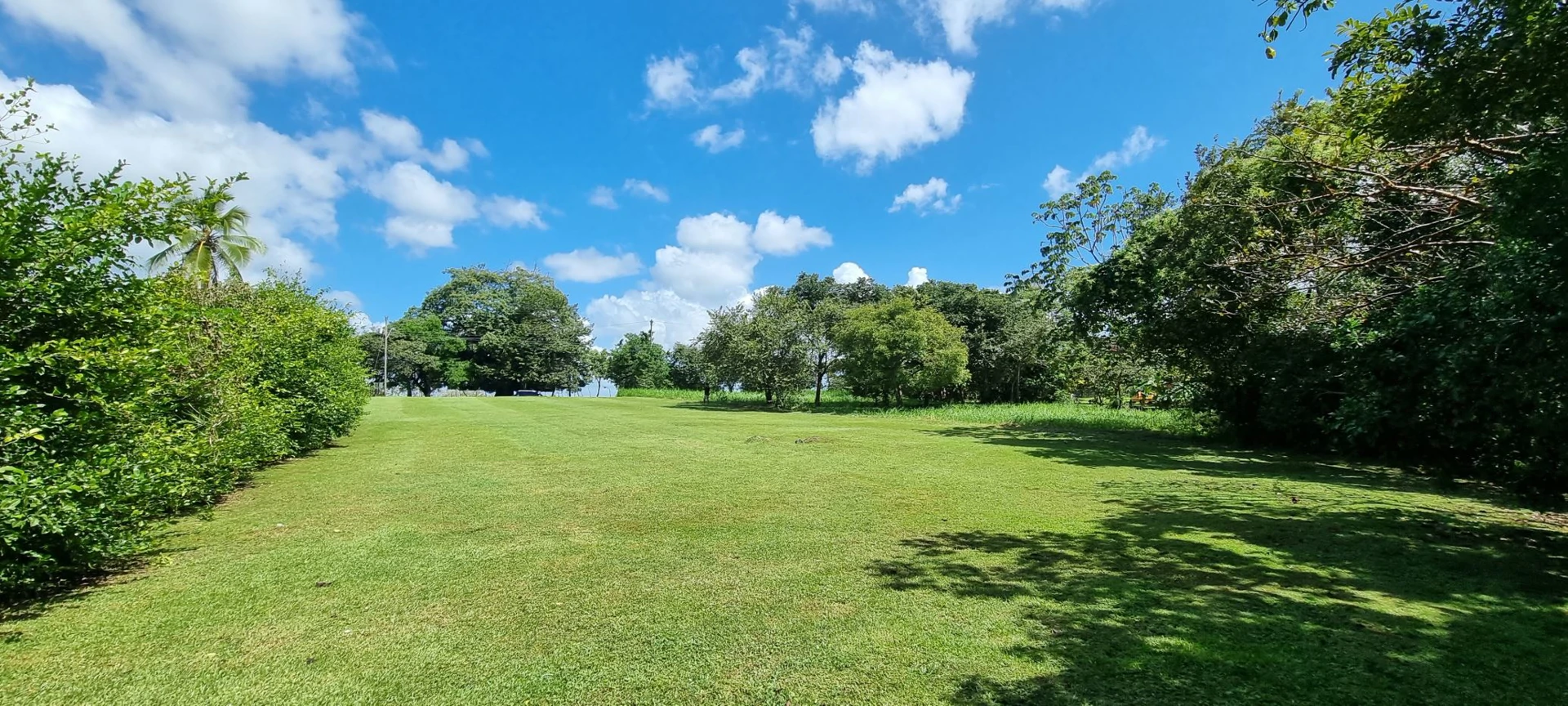 Land for sale in San Carlos - photo 13