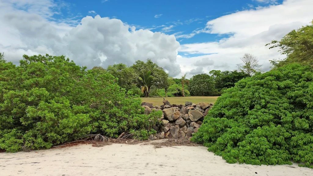 Amazing Beach Front Land in Chame - photo 6