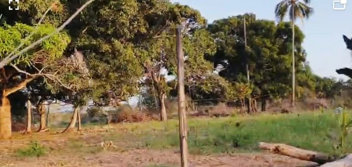 2.66-Hectare Land for Sale in Bejuco, Chame Panama Oeste – Ideal for Residential or Country Development - photo 9